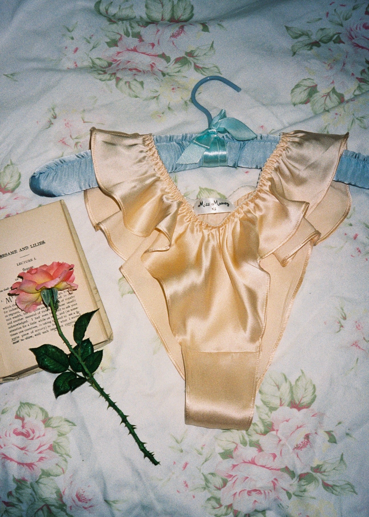 Donna French Panty (Peach Champagne)